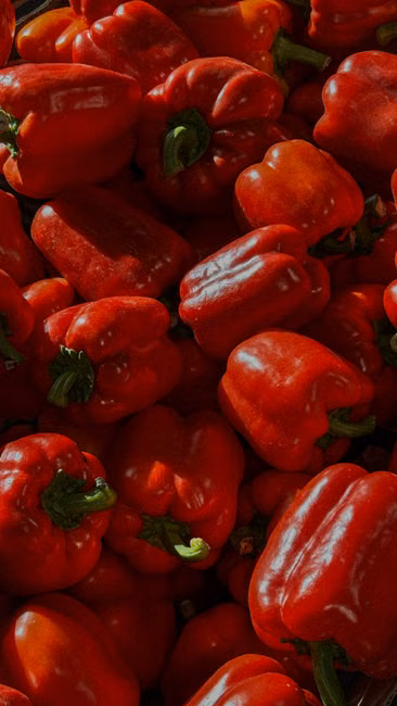 Hortifruti